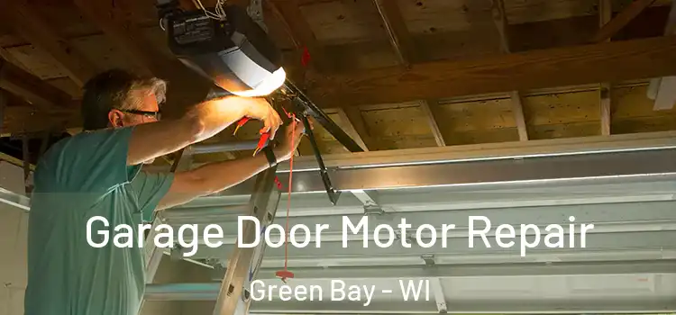  Garage Door Motor Repair Green Bay - WI
