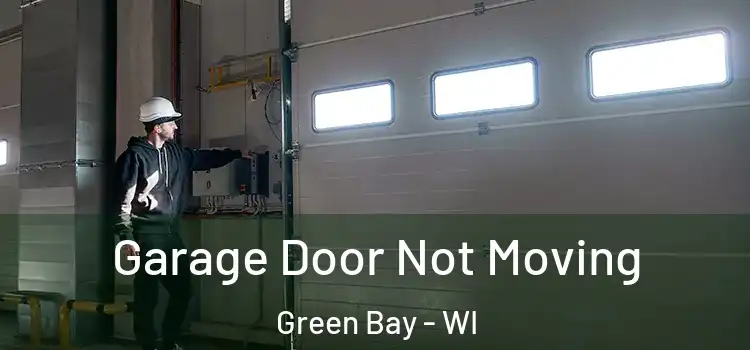  Garage Door Not Moving Green Bay - WI