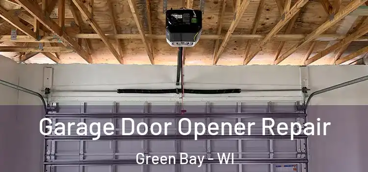  Garage Door Opener Repair Green Bay - WI