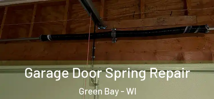  Garage Door Spring Repair Green Bay - WI