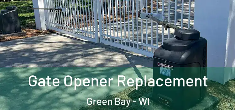  Gate Opener Replacement Green Bay - WI